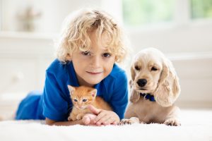 Small boy with kitten and puppy, speak to Family Law Attorneys Oak Brook for property division management.
